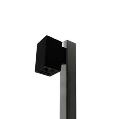 PALO QUADRO
